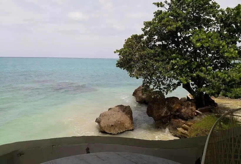 تختخواب و صبحانه Sorrel Bay Retreat Aka Natanias