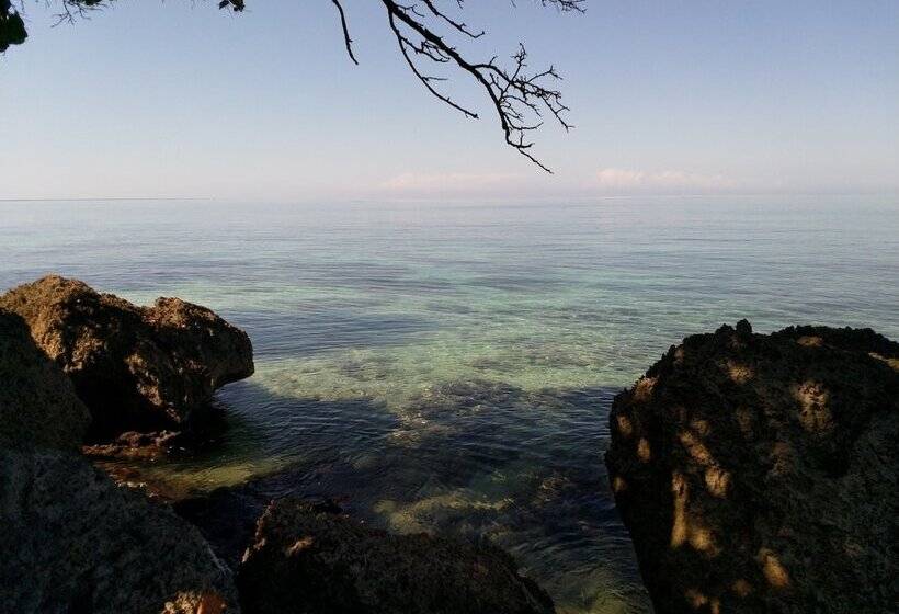 تختخواب و صبحانه Sorrel Bay Retreat Aka Natanias