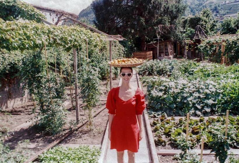 住宿加早餐  Villa Arnica   Adults Only