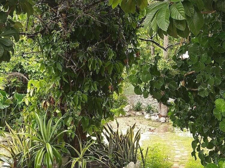 Casa Hostal Mamey   Hostel