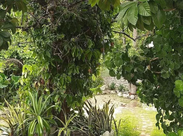 Casa Hostal Mamey   Hostel