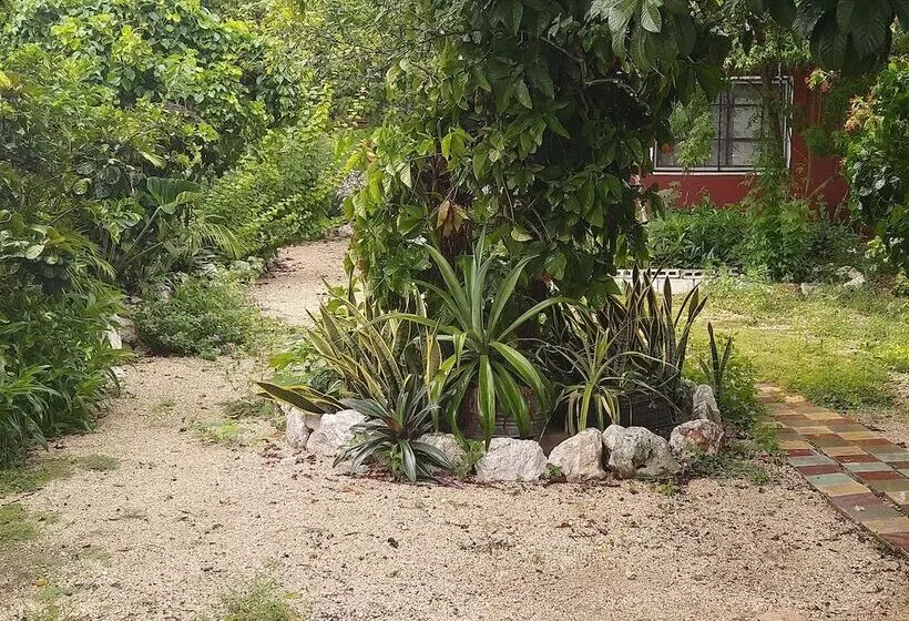 Casa Hostal Mamey   Hostel