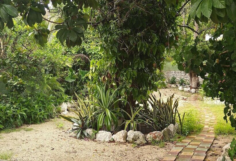 Casa Hostal Mamey   Hostel