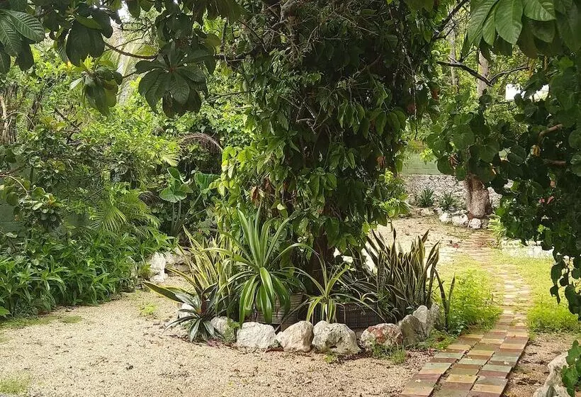 Casa Hostal Mamey   Hostel