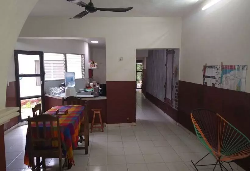 Casa Hostal Mamey   Hostel
