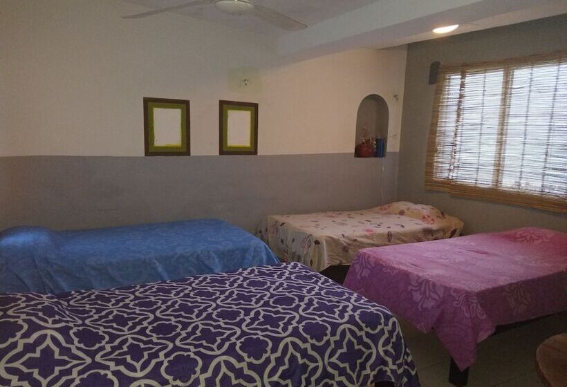 Casa Hostal Mamey   Hostel