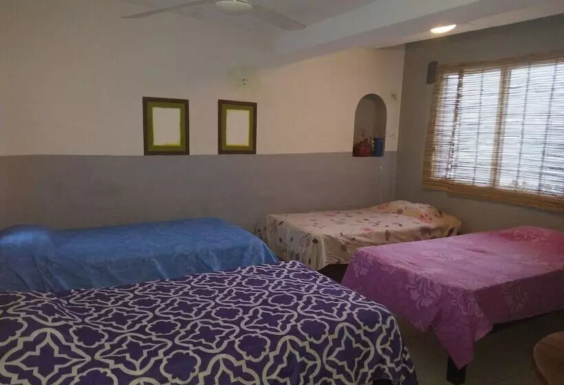 Casa Hostal Mamey   Hostel