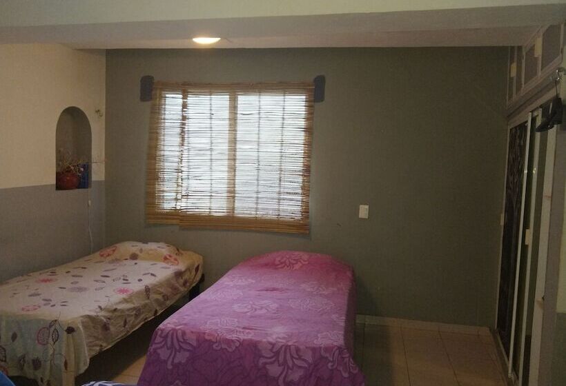 Casa Hostal Mamey   Hostel