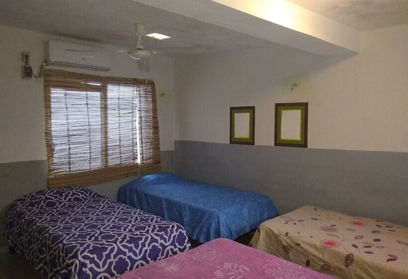 Casa Hostal Mamey   Hostel