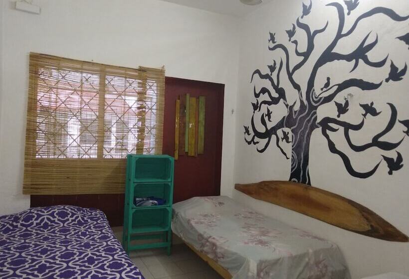 Casa Hostal Mamey   Hostel