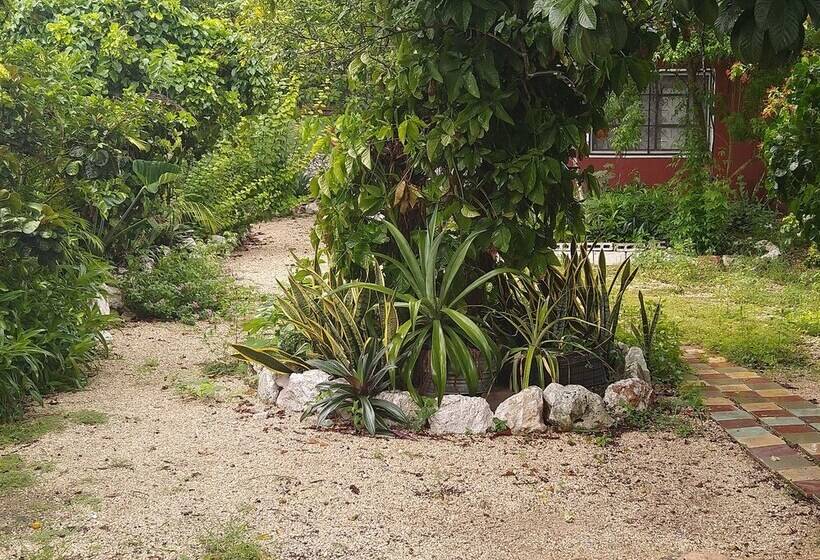 Casa Hostal Mamey   Hostel