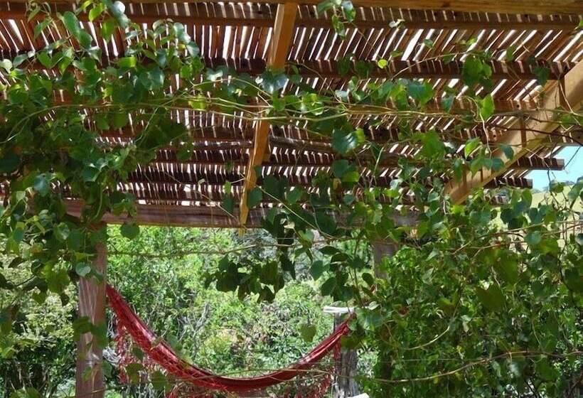 ホテル Canto Da Lua Chalés E Apiário