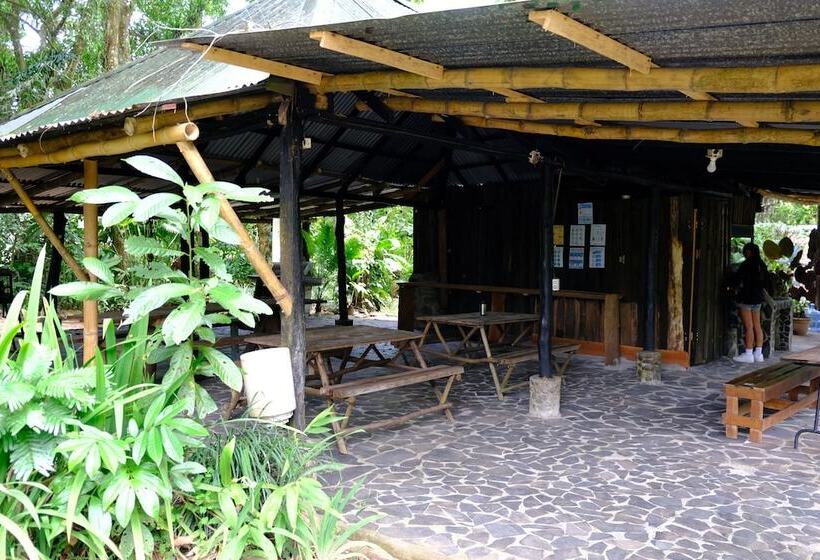 בית מלון כפרי Costa Rica Glamping