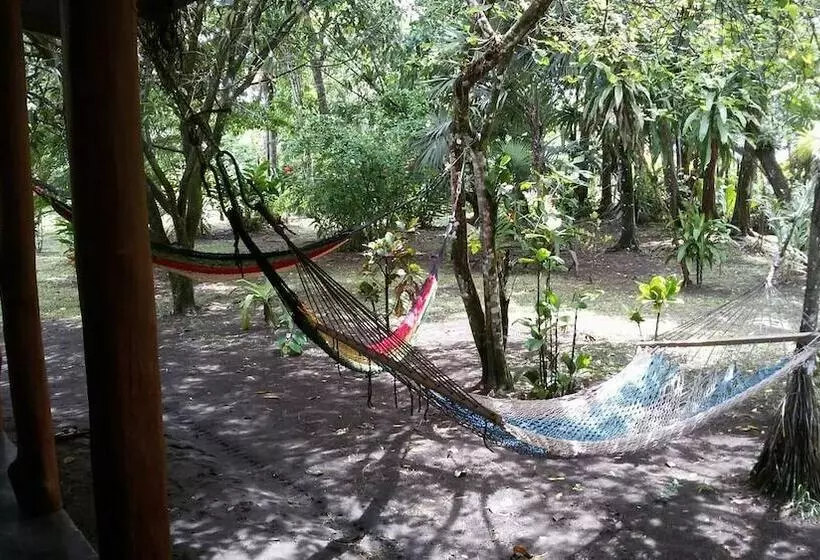 ホテル Green Gold Ecolodge