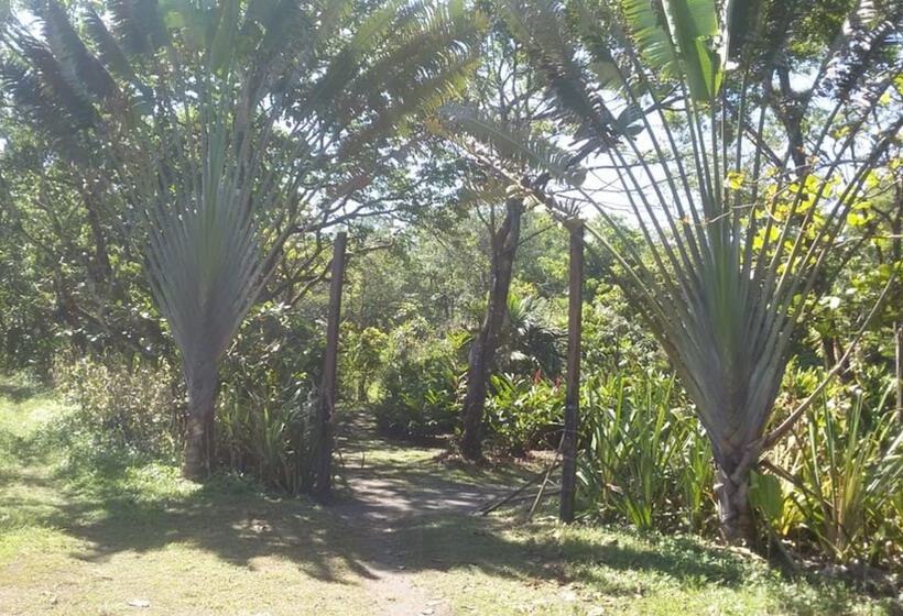 هتل Green Gold Ecolodge