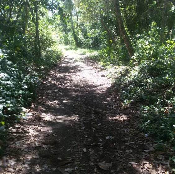 هتل Green Gold Ecolodge