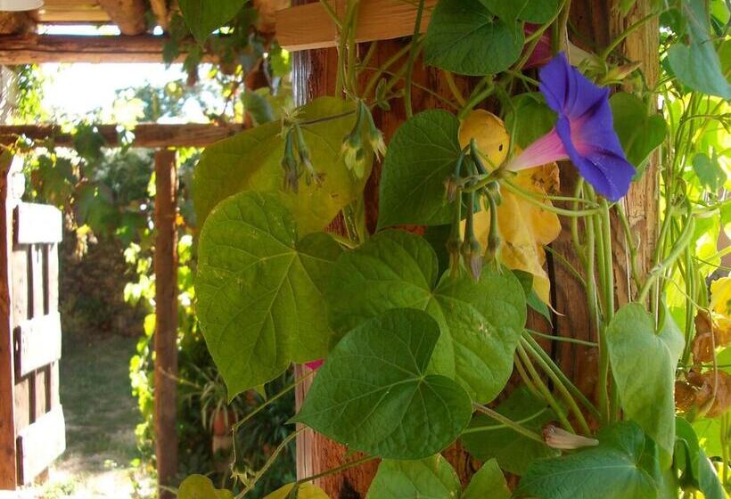 酒店 Hostal D éller