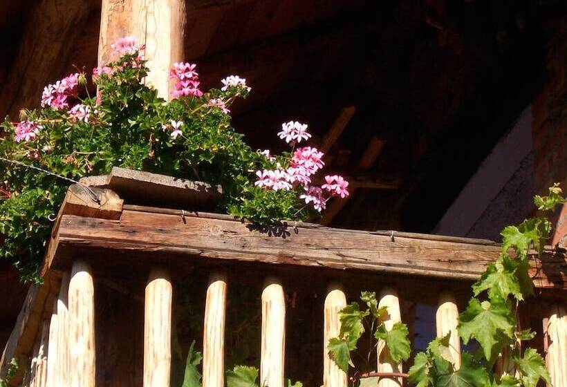 酒店 Hostal D éller