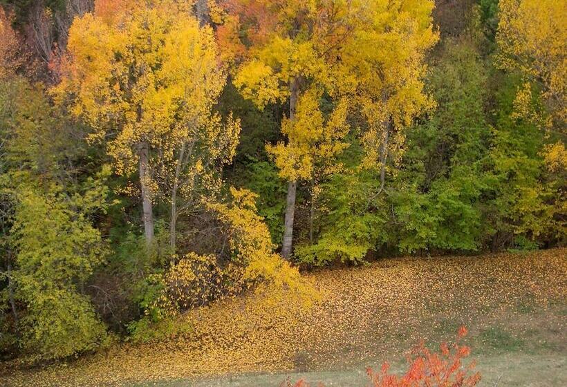 酒店 Hostal D éller