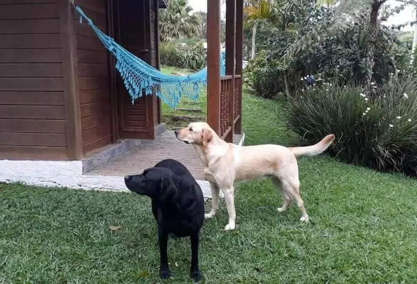 ホテル Pousada Recanto Dos Pinheiros