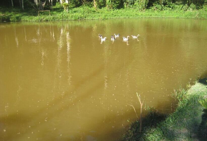 Hotel Pousada Recanto Dos Pinheiros