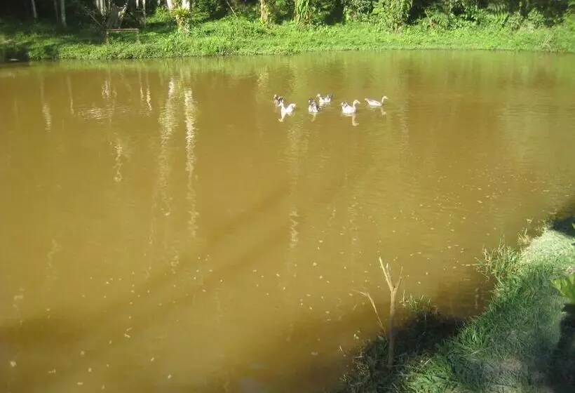 ホテル Pousada Recanto Dos Pinheiros