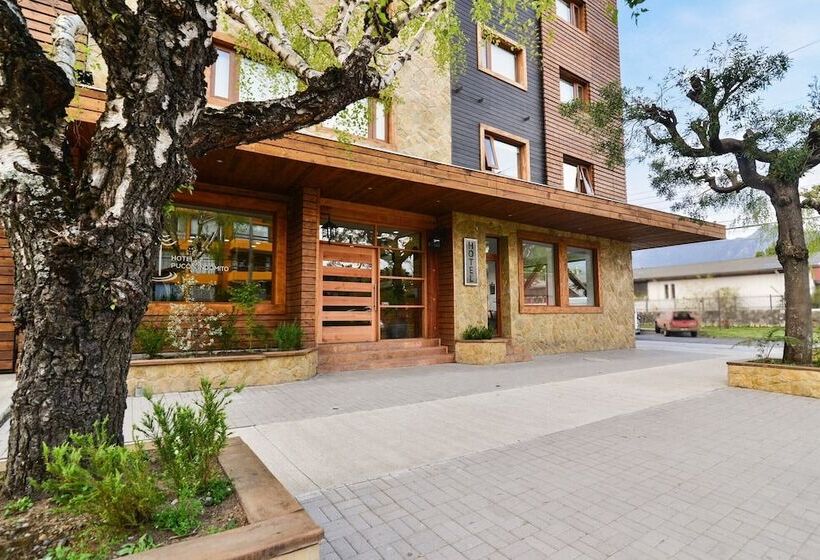 هتل Pucón Indómito