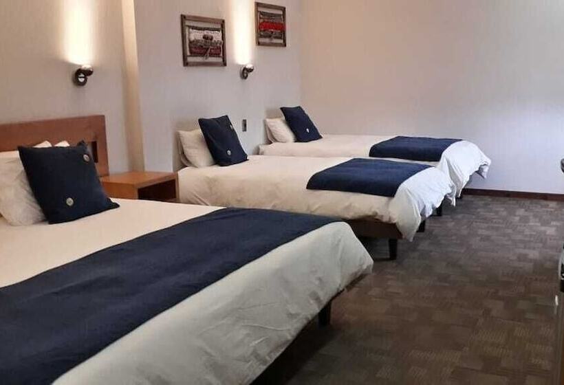 هتل Pucón Indómito