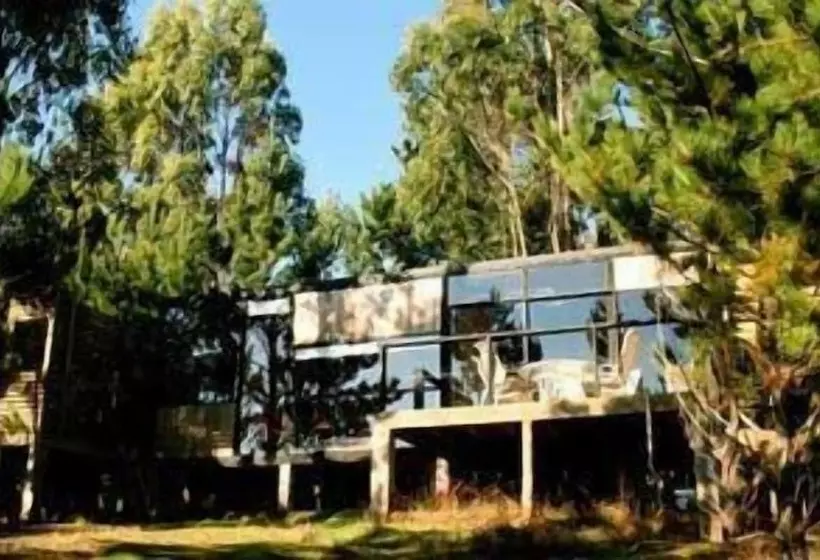 Hotelli Surf Lodge Punta De Lobos