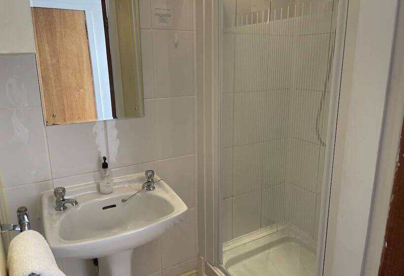 호텔 The Shelbourne