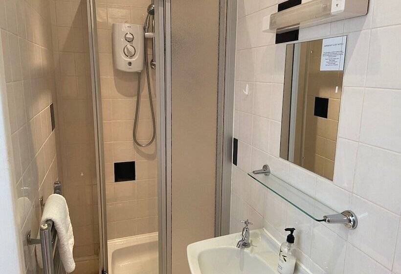 호텔 The Shelbourne