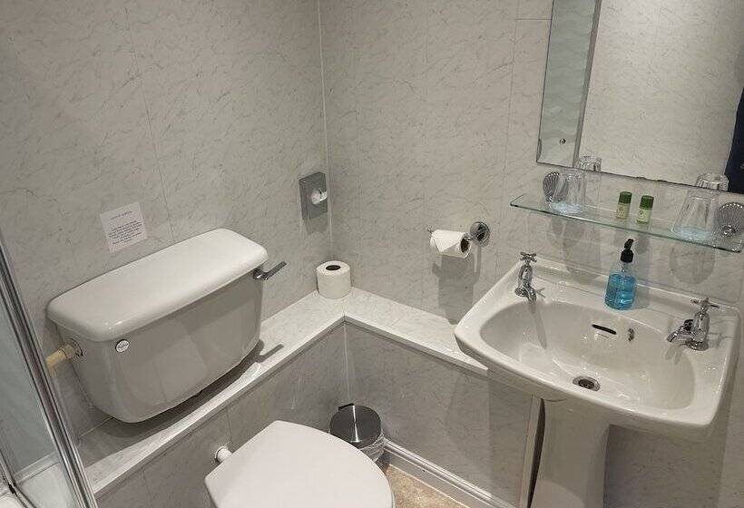 호텔 The Shelbourne