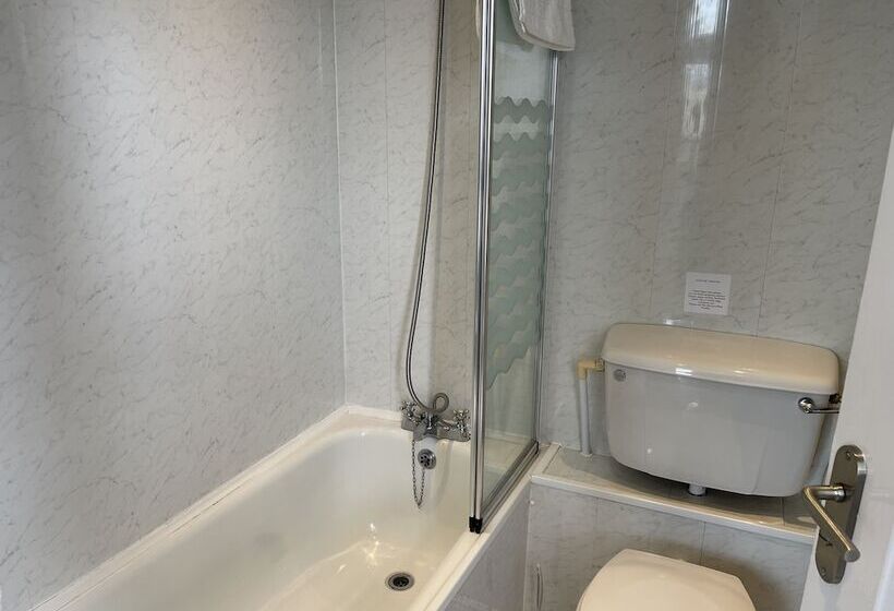 호텔 The Shelbourne