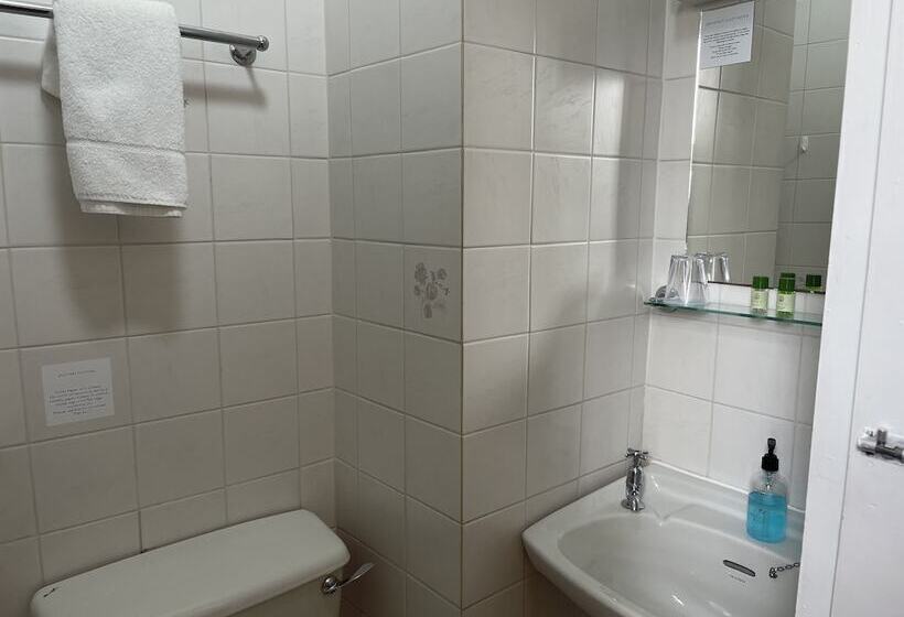 호텔 The Shelbourne