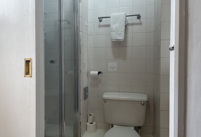 호텔 The Shelbourne