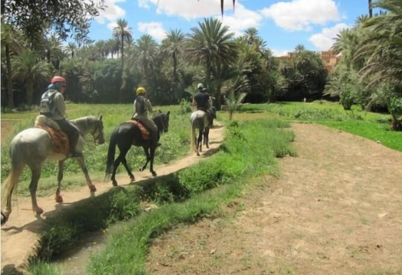 بنسيون Dar Ayour Guest House