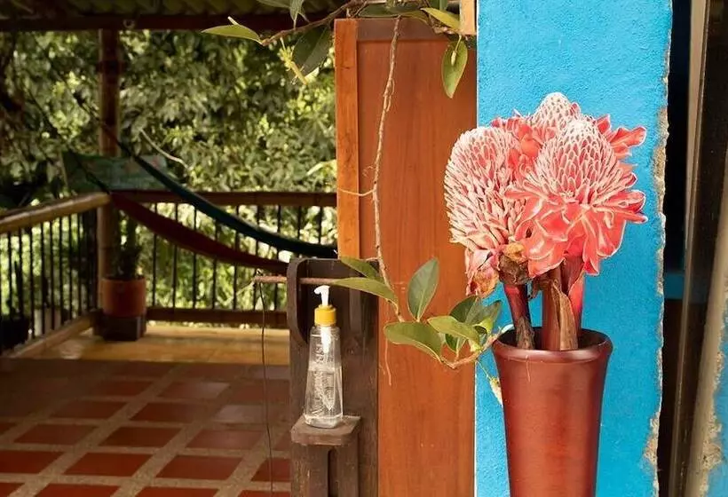 ペンション Posada Aguanile Finca La Diana