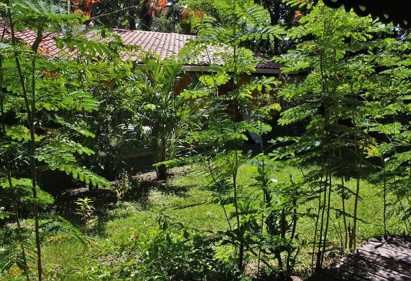 پانسیون The Hideout