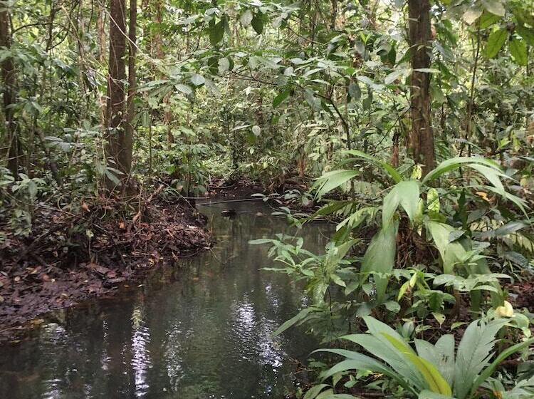 פנסיון Valeska Drake