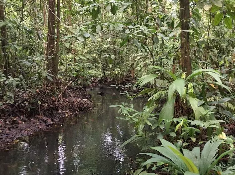 Majatalo Valeska Drake