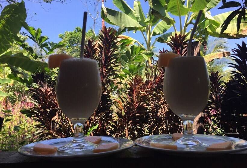 פנסיון Valeska Drake