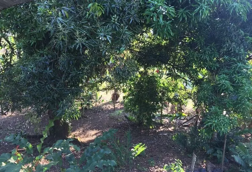 Majatalo Valeska Drake