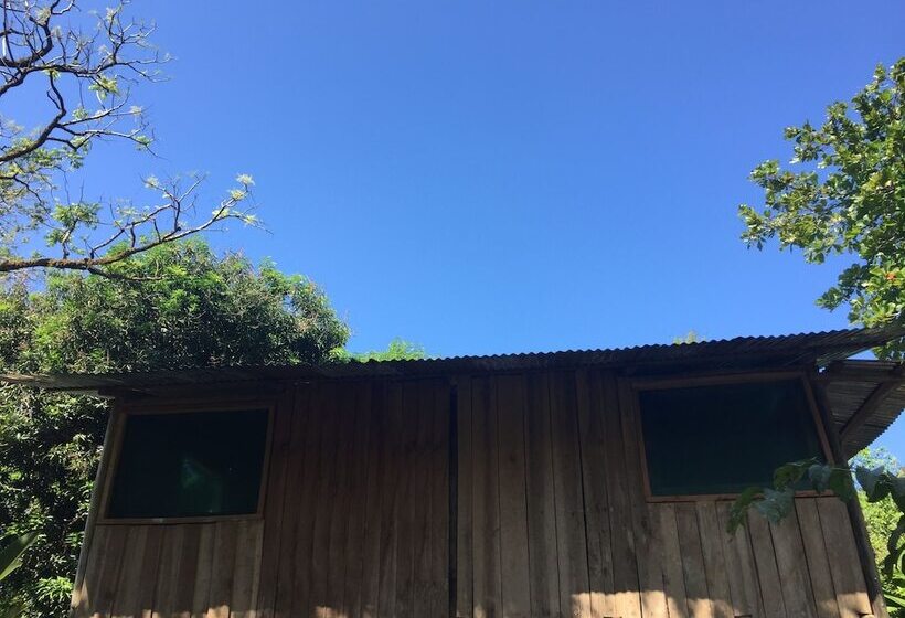 פנסיון Valeska Drake