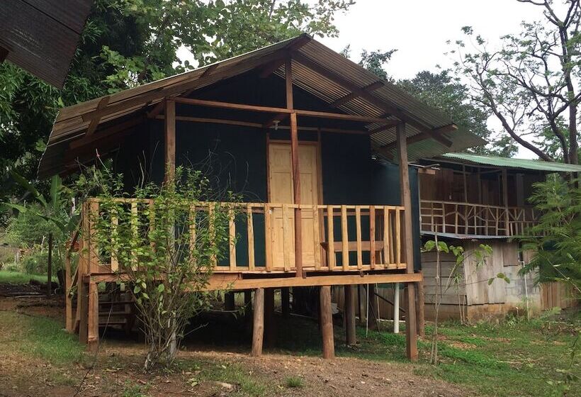 פנסיון Valeska Drake