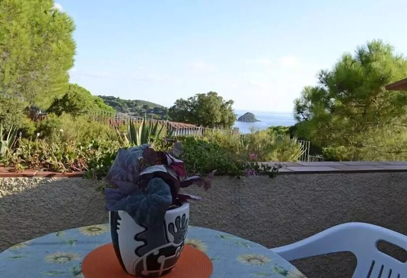 レジデンス La Turistica