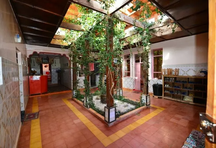 Flilou La Maison Berbère   Hostel
