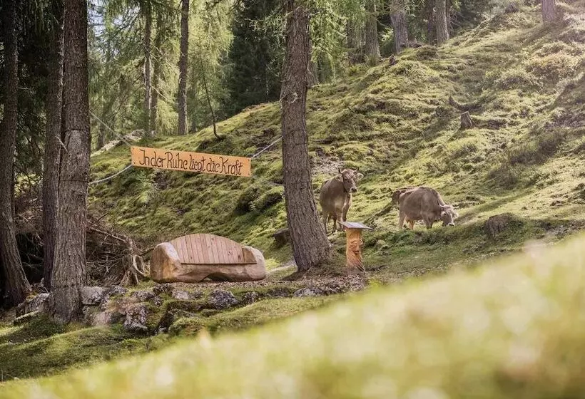 Alpenhotel Schlickeralm