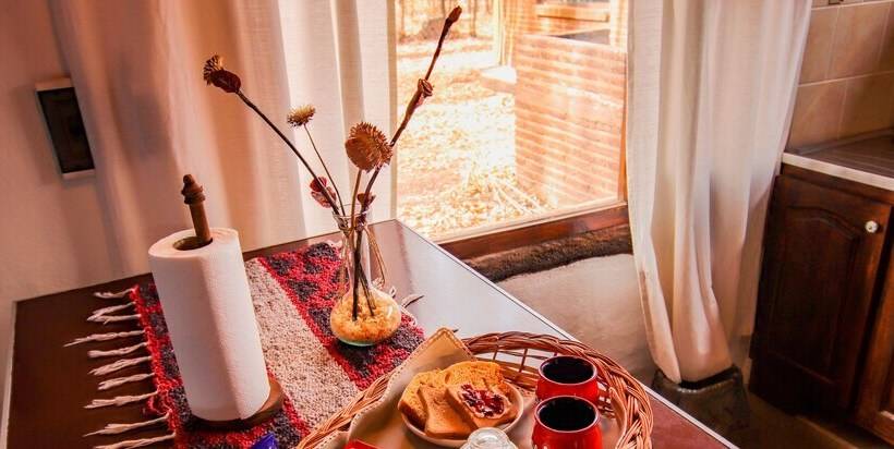 Cabañas En Malargue