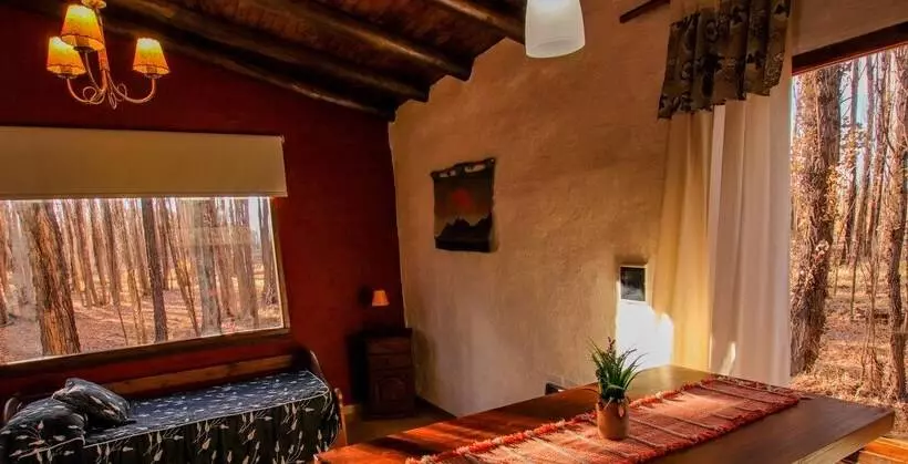 Cabañas En Malargue