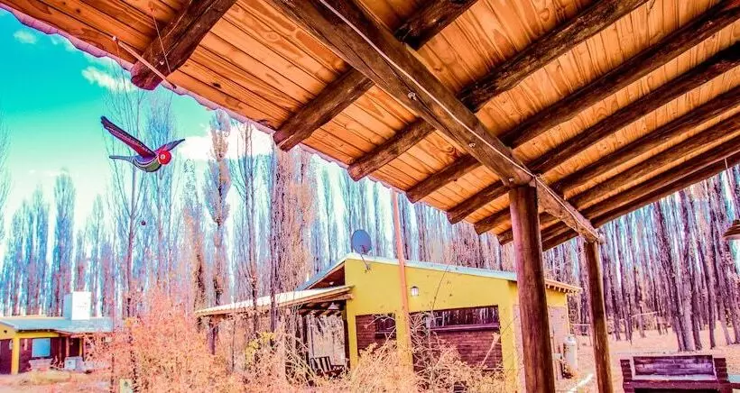 Cabañas En Malargue